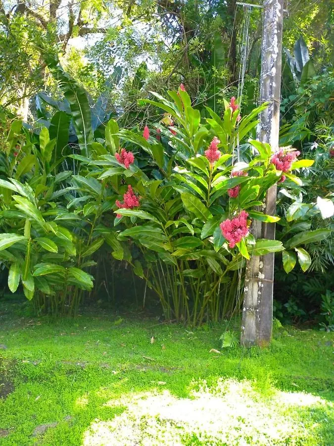 Studio Avec Jardin Clos Et Wifi A Schoelcher 0*,  Martinique